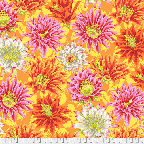 Kaffe Fassett Collective 2024 - Cactus Flower Yellow